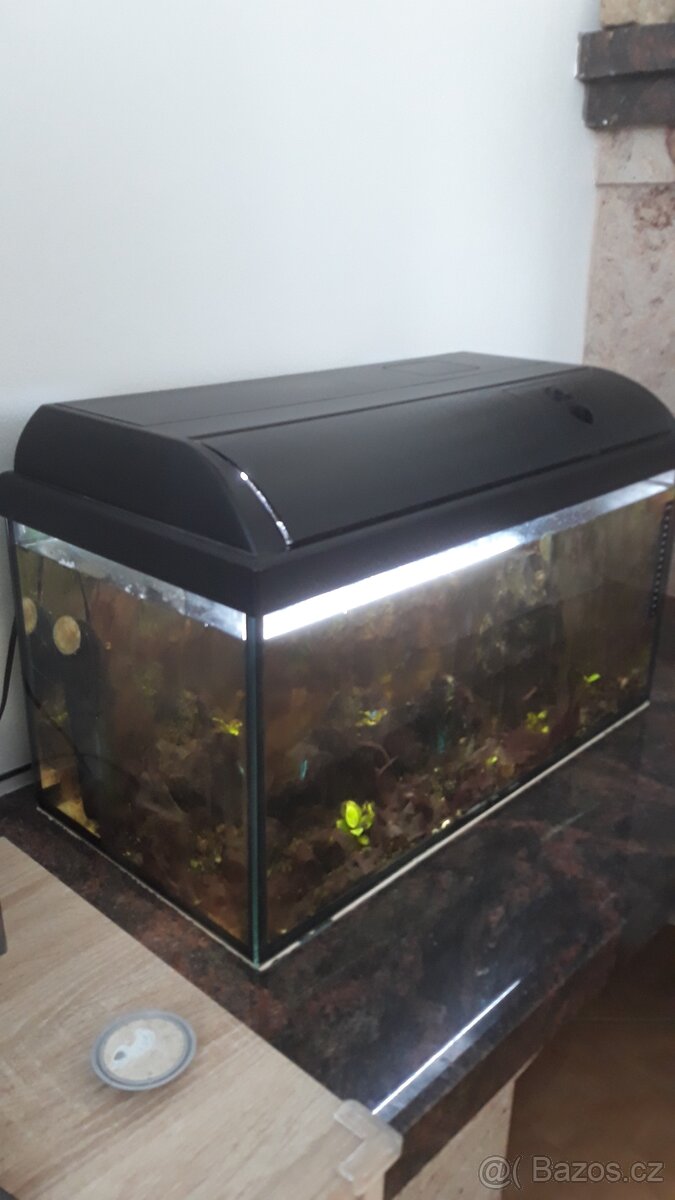 Prodám plně vybavené akvárium.