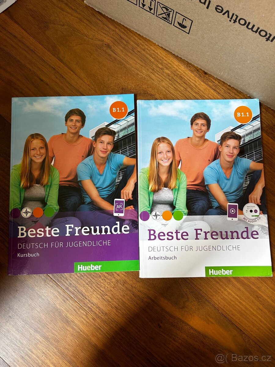 Beste Freunde B 1.1 (Deutsch)