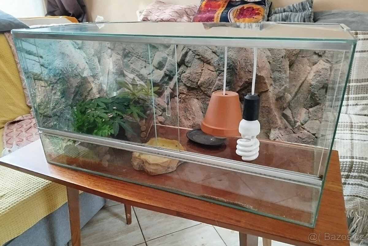 Terárium