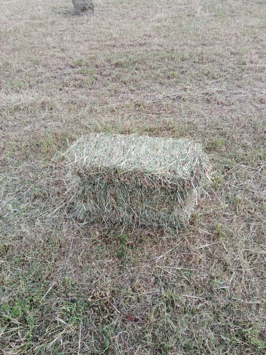 Seno malé balíky