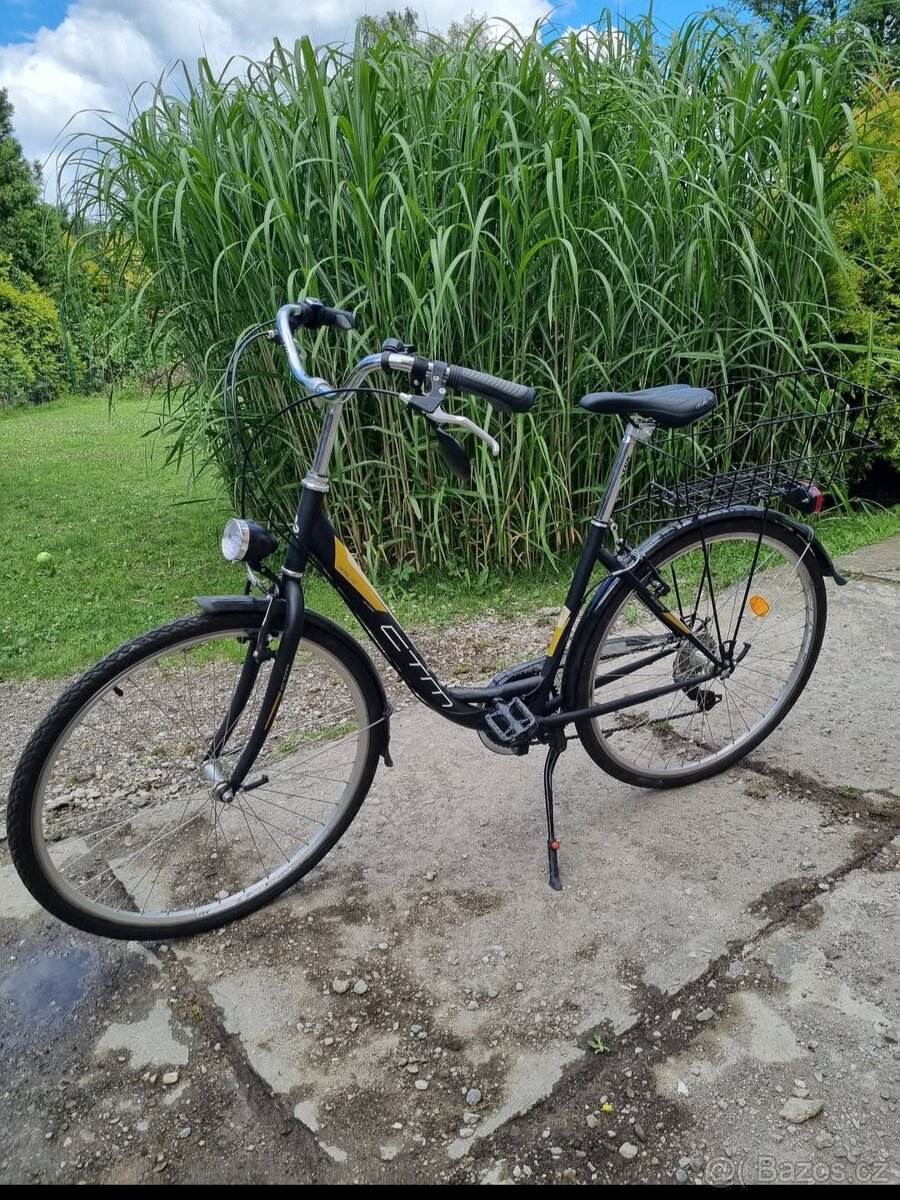 Kolo CTM Rita 1.0