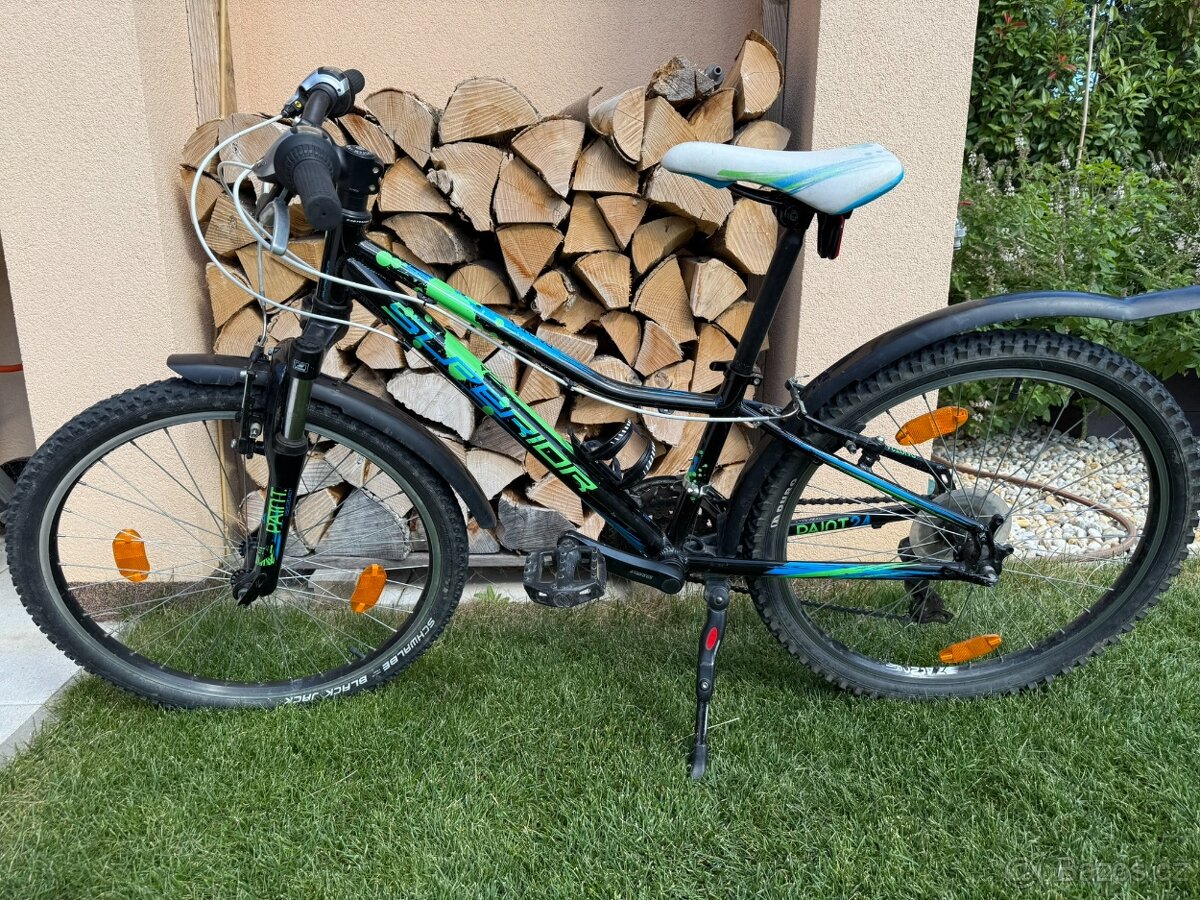 kolo SUPERIOR Paint 24