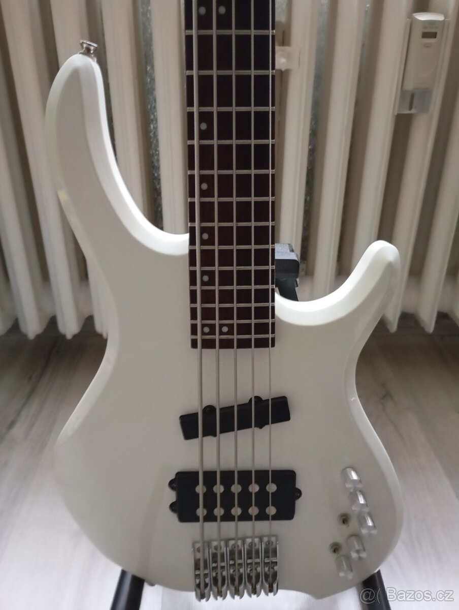 REZERVOVANÉ-5-strunová basgitara