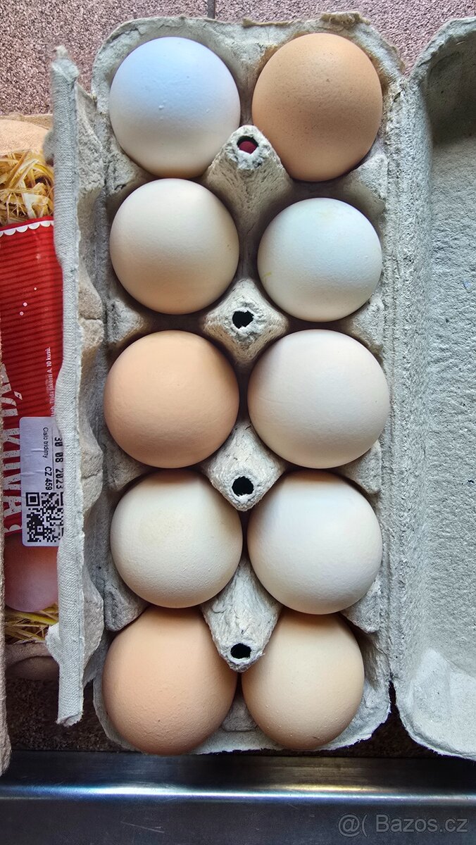 Domácí vajíčka