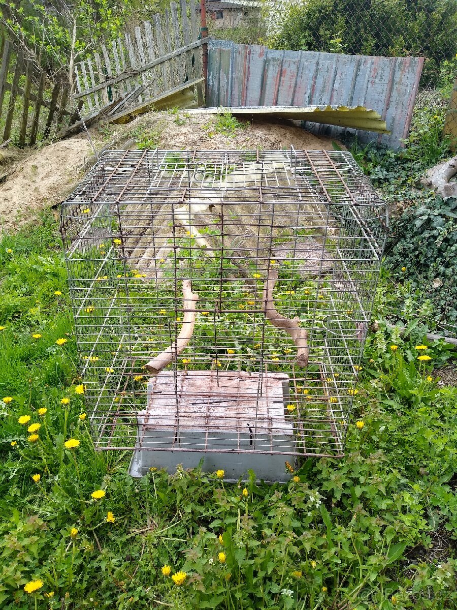 Klec pro papouška 2