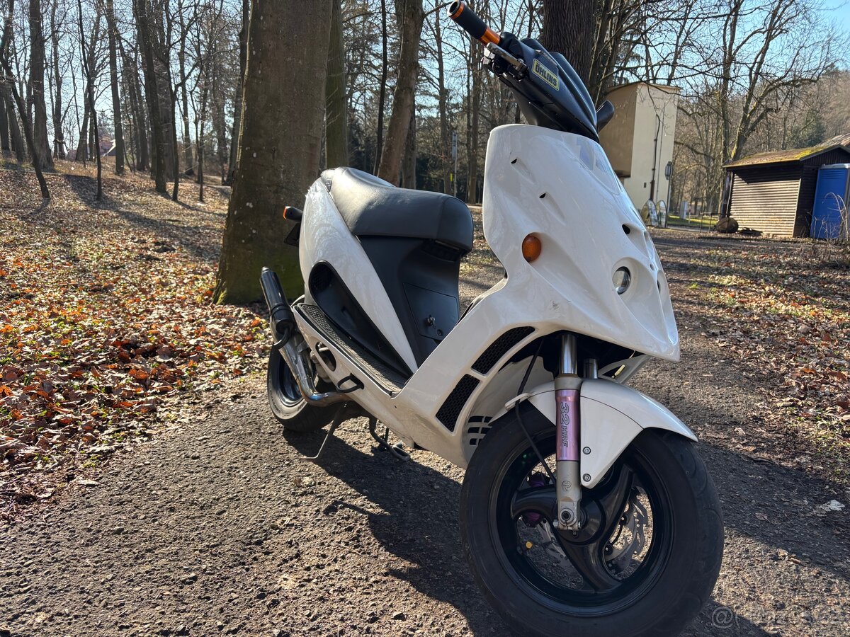 Malaguti F12