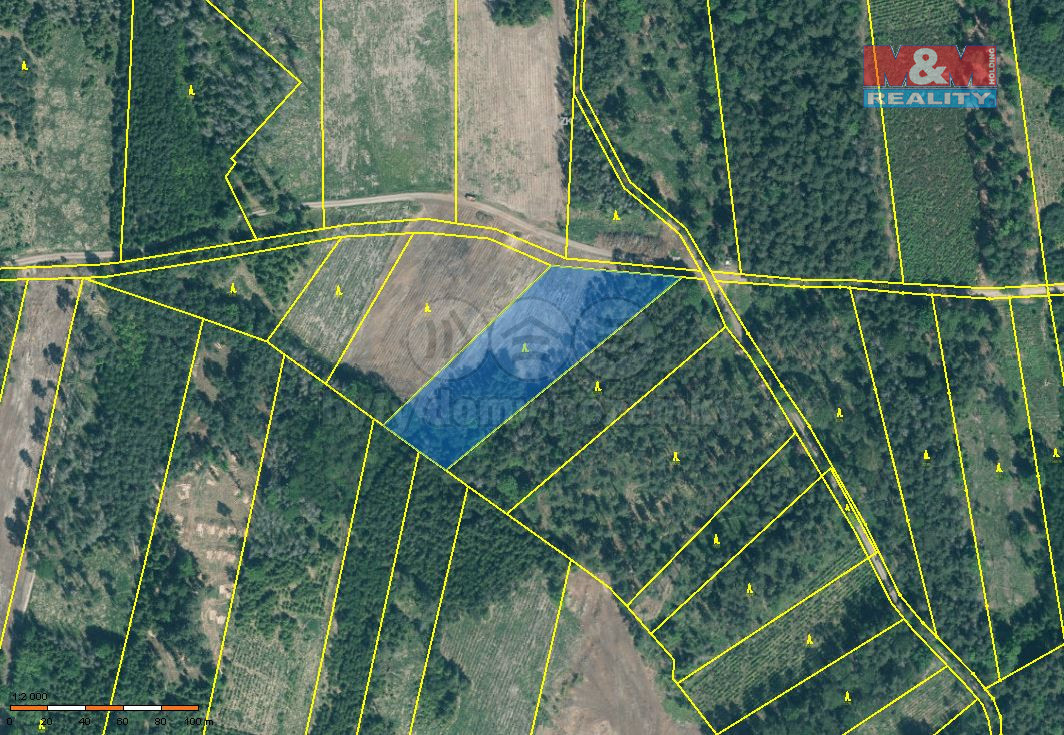 Prodej lesa, 15115 m², Jetětice