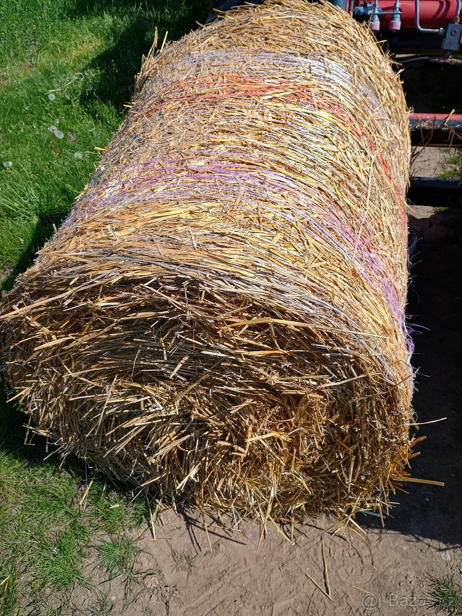 Sláma