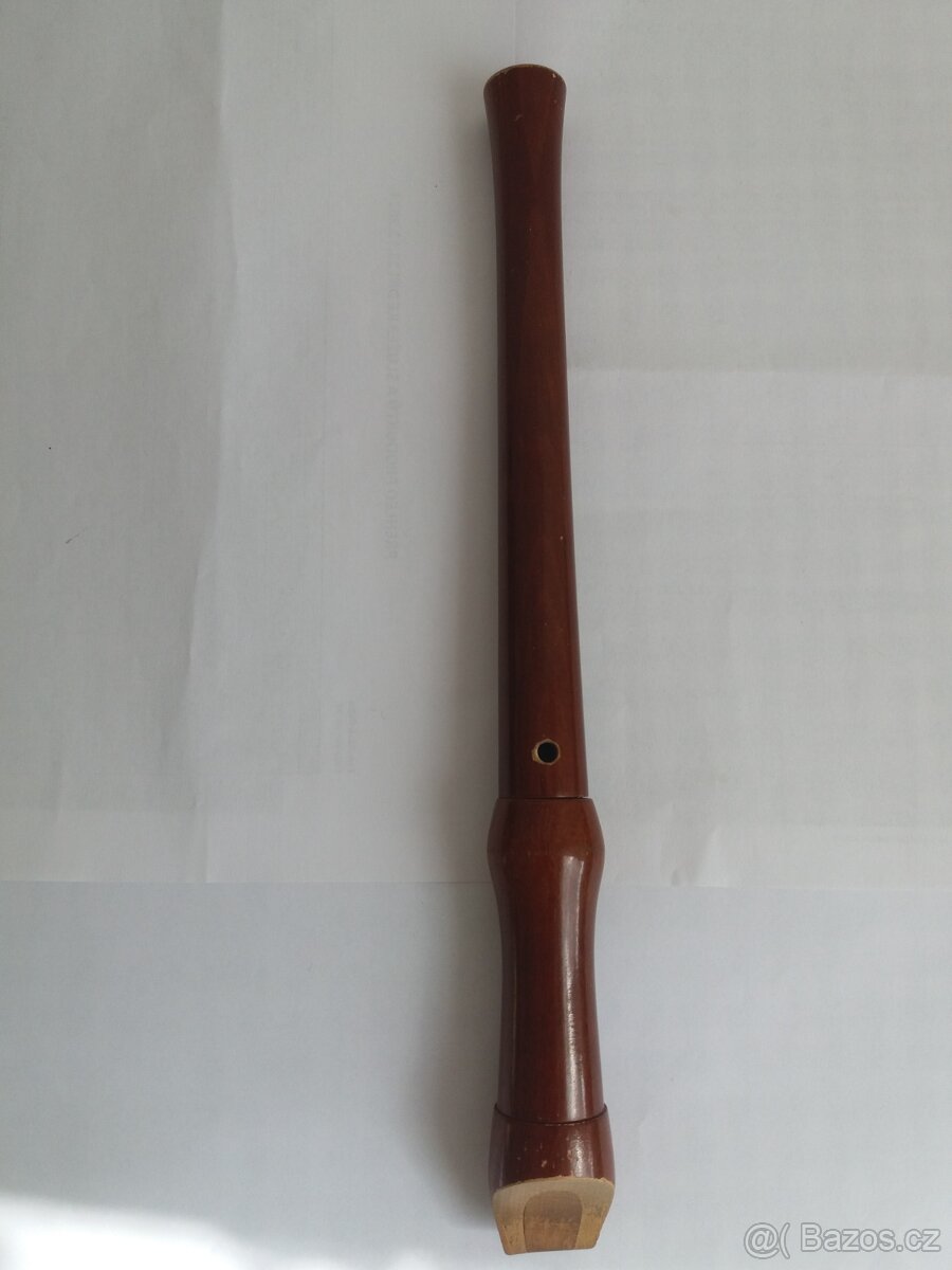 Zobcová flétna.