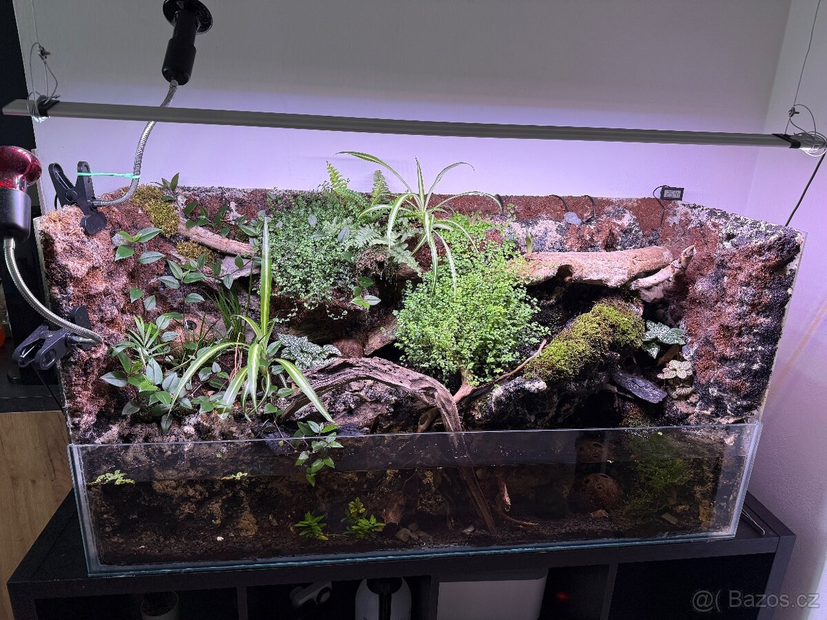 Otevřené přírodní Paludarium s kraby red tomato