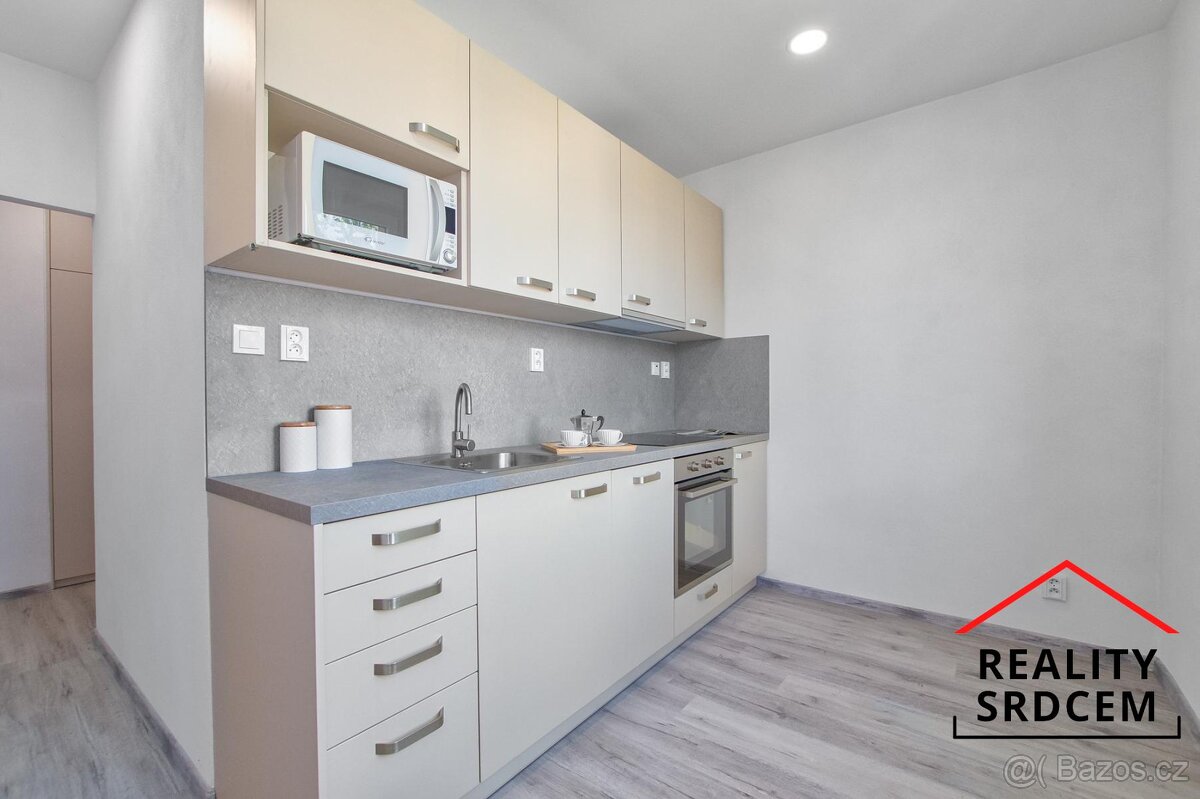 Pronájem zrekonstruovaného bytu 2+1 s balkonem, 55 m2, V Ale