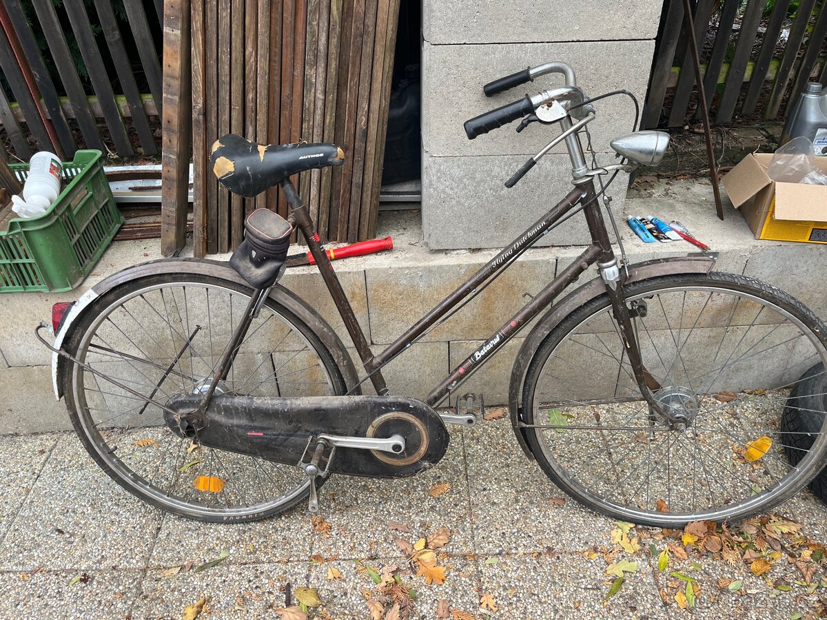 Kolo Bavatus Flying Dutchman