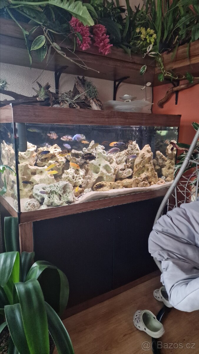 Plně vybavené akvárium