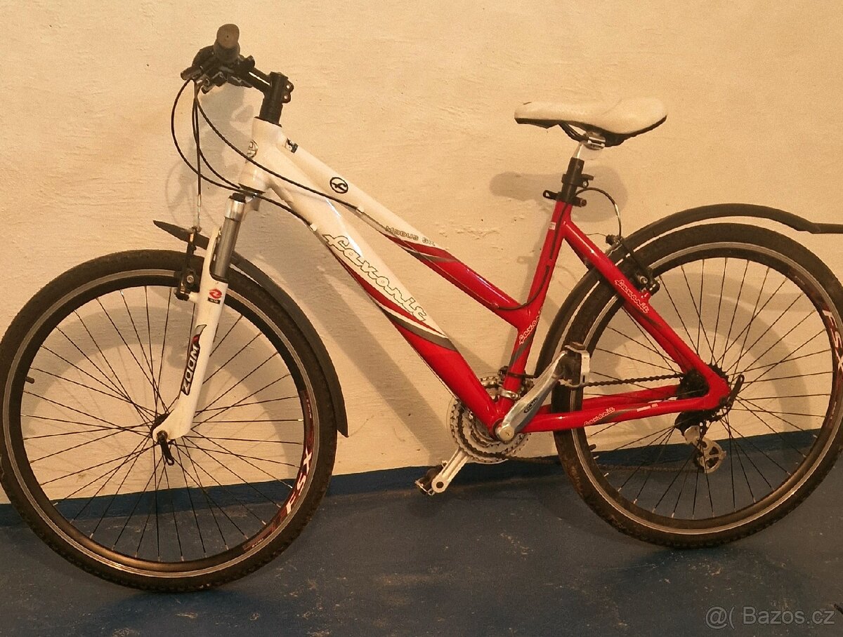 Favorit Modus SX 26"