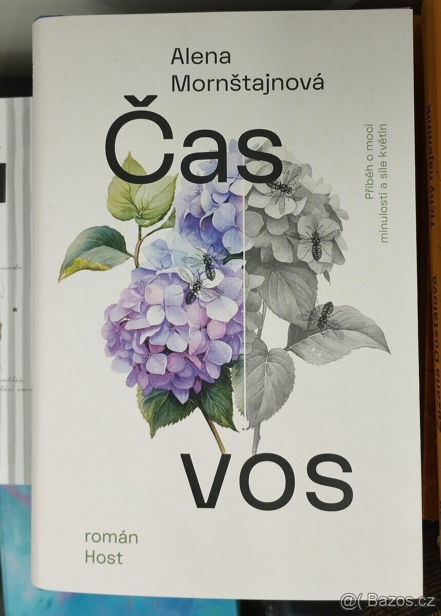 ALENA MORNŠTAJNOVÁ - Čas vos