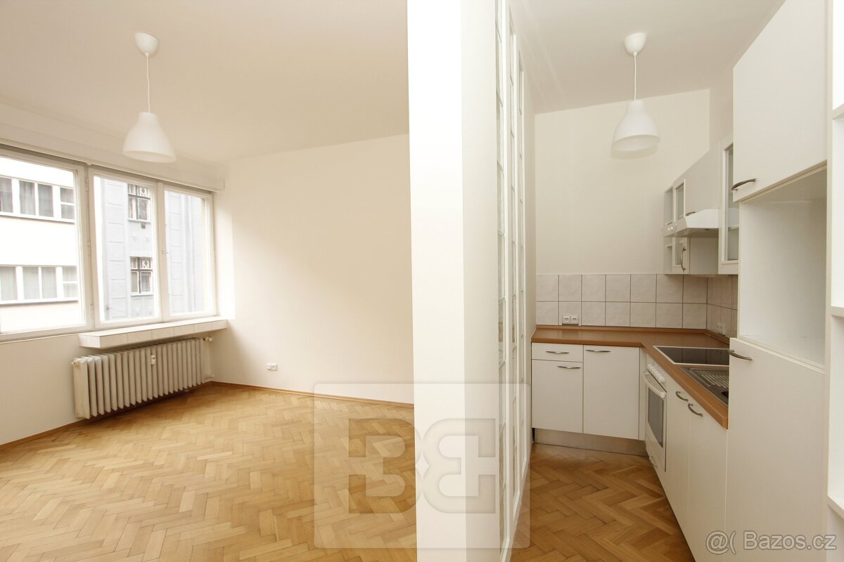 Pronájem bytu 1+kk, Vinařská, Praha 7, ev.č. N08178