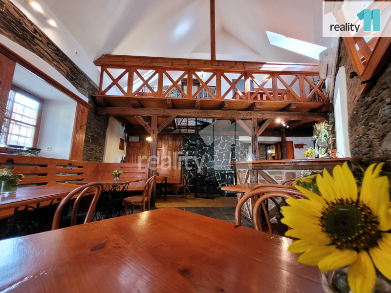 Pronájem restaurace, 100 m², Kolín, ul. Havelcova