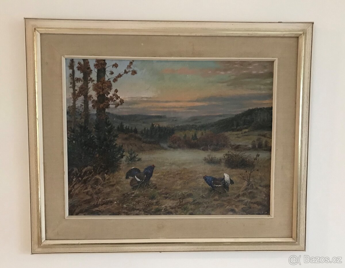 A. Komeda souboj tetřevů