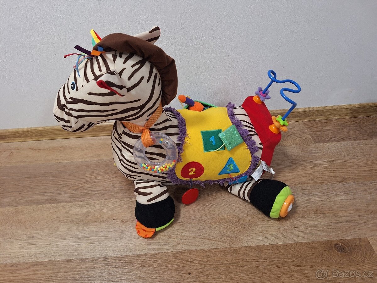 Zebra Ryan