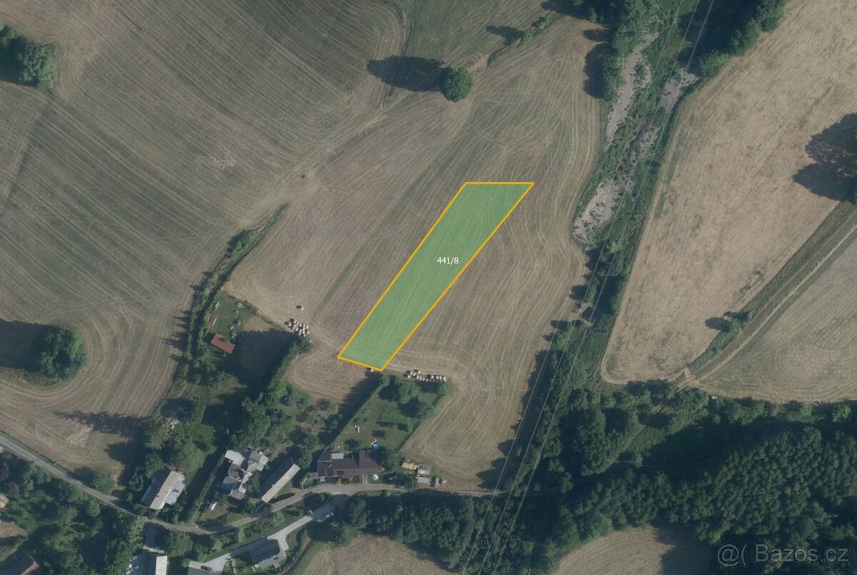 Louka, prodej, Loučná nad Desnou, Šumperk