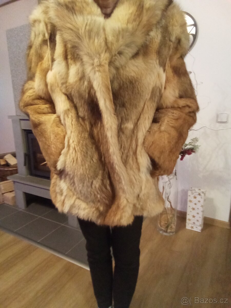 Kožich čínský pes
