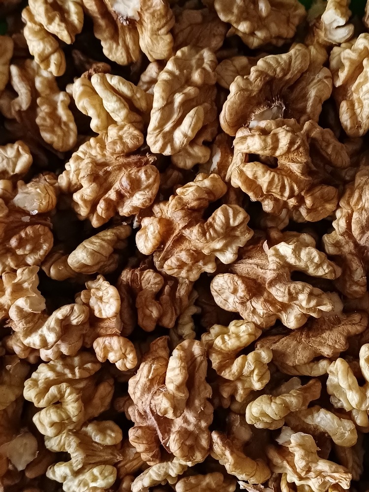 letošní vlašské ořechy loupané