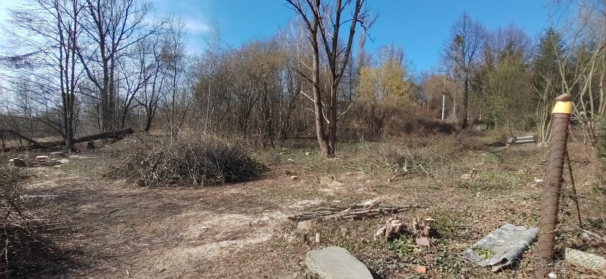 Daruji za odvoz větve ke štěpkování
