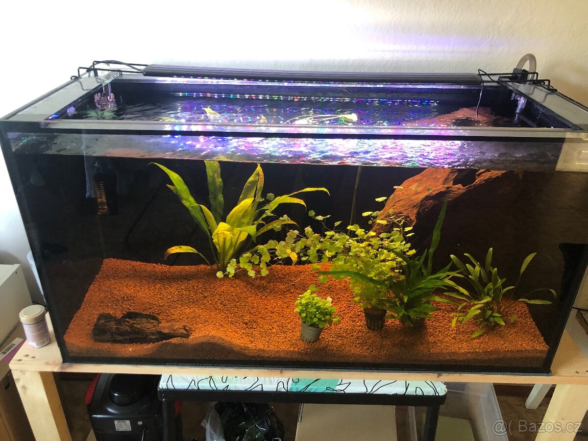 Akvárium 200l s vybavením