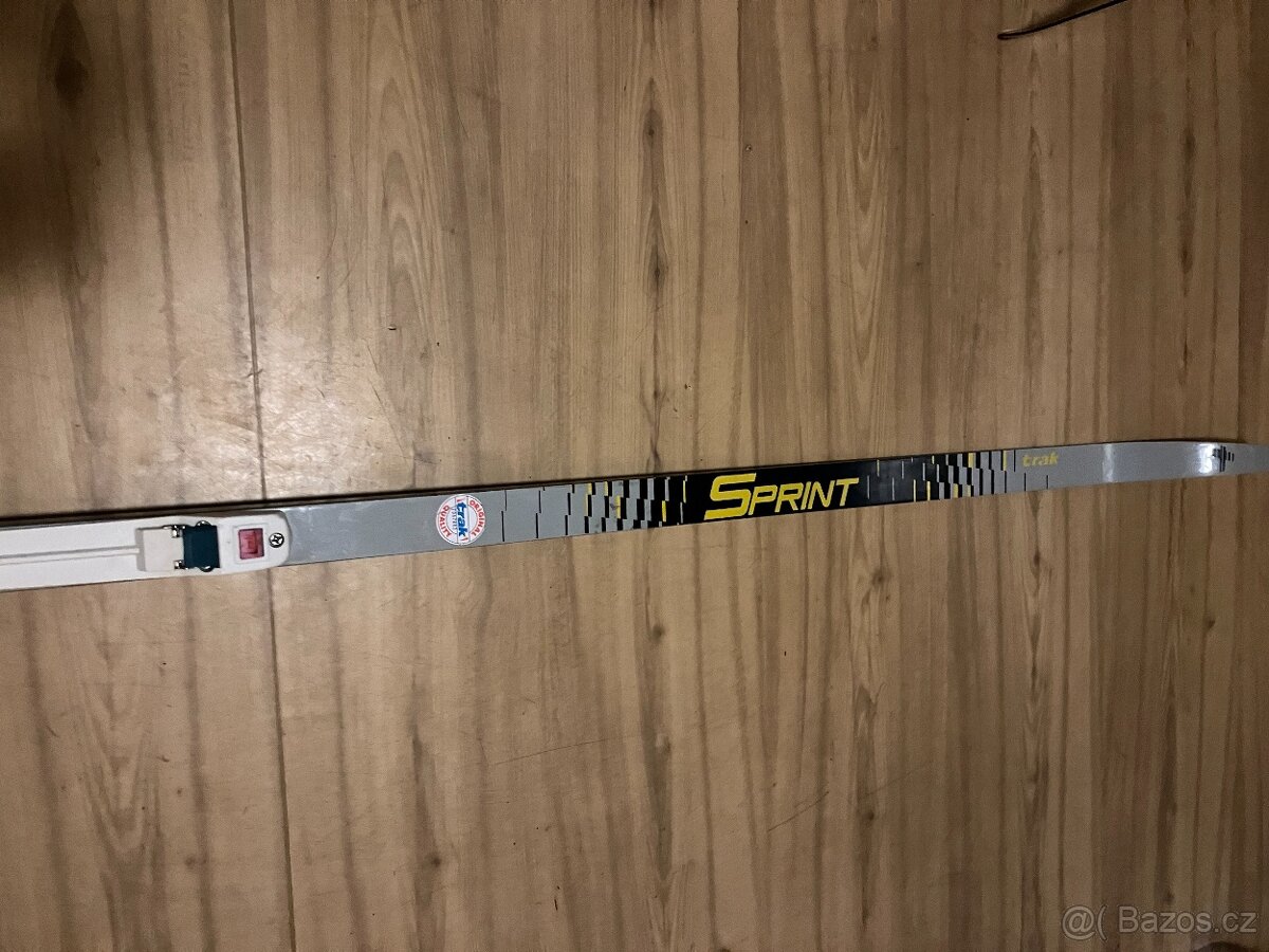 Běžky skluznice šupina