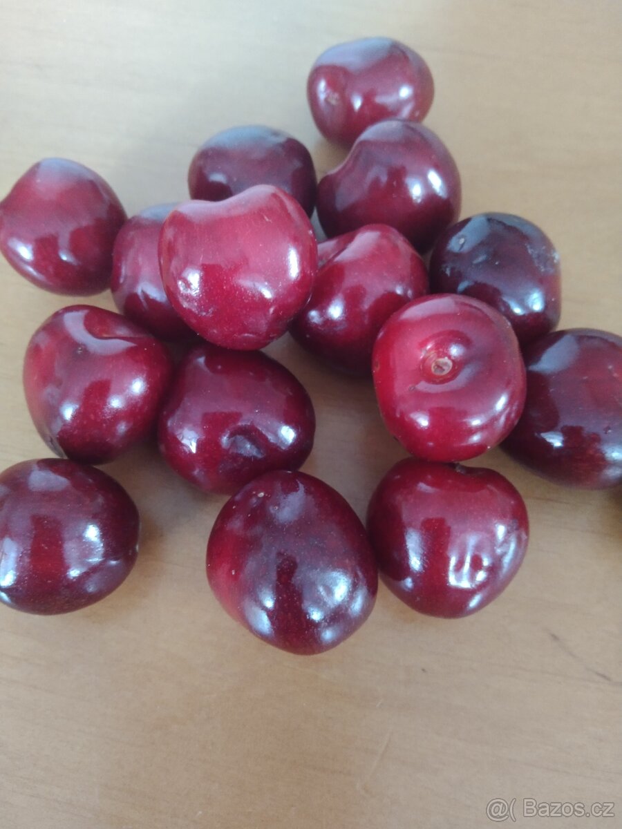 Třešně