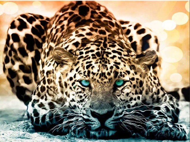 Leopard - diamantové malování