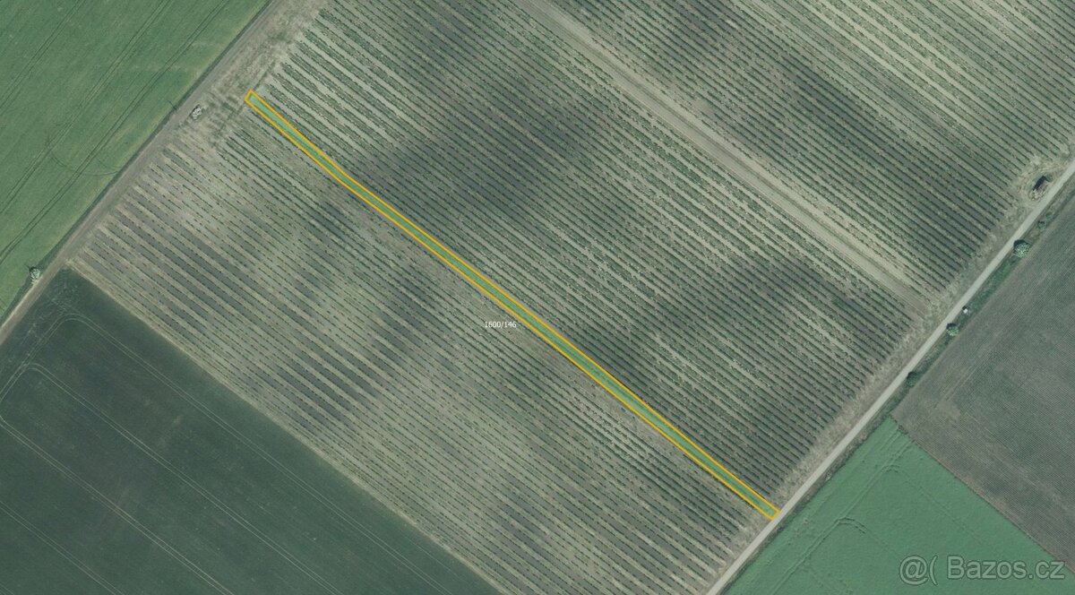 Sady, vinice, prodej, Terezín, Hodonín