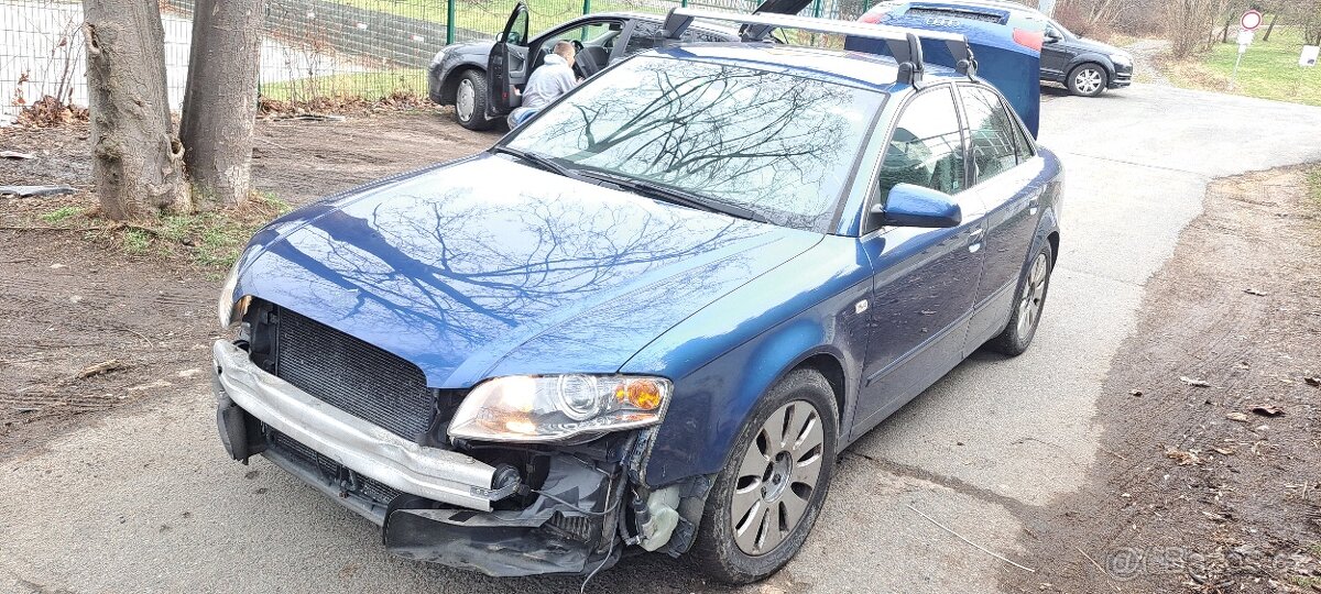 Audi A4 B7 8E 3.0 tdi dily z celeho vozu
