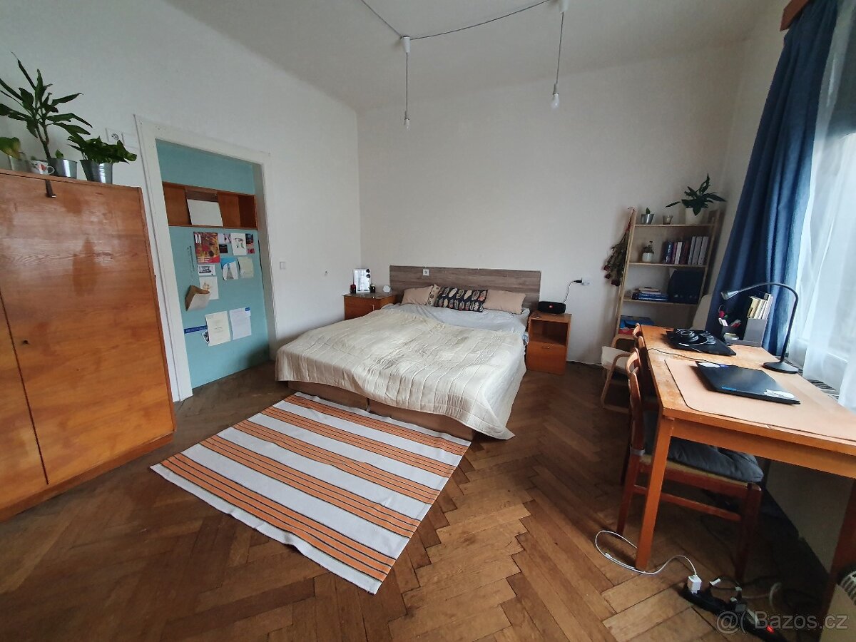 Studentské bydlení v RD se zahradou, Černá pole - volné.
