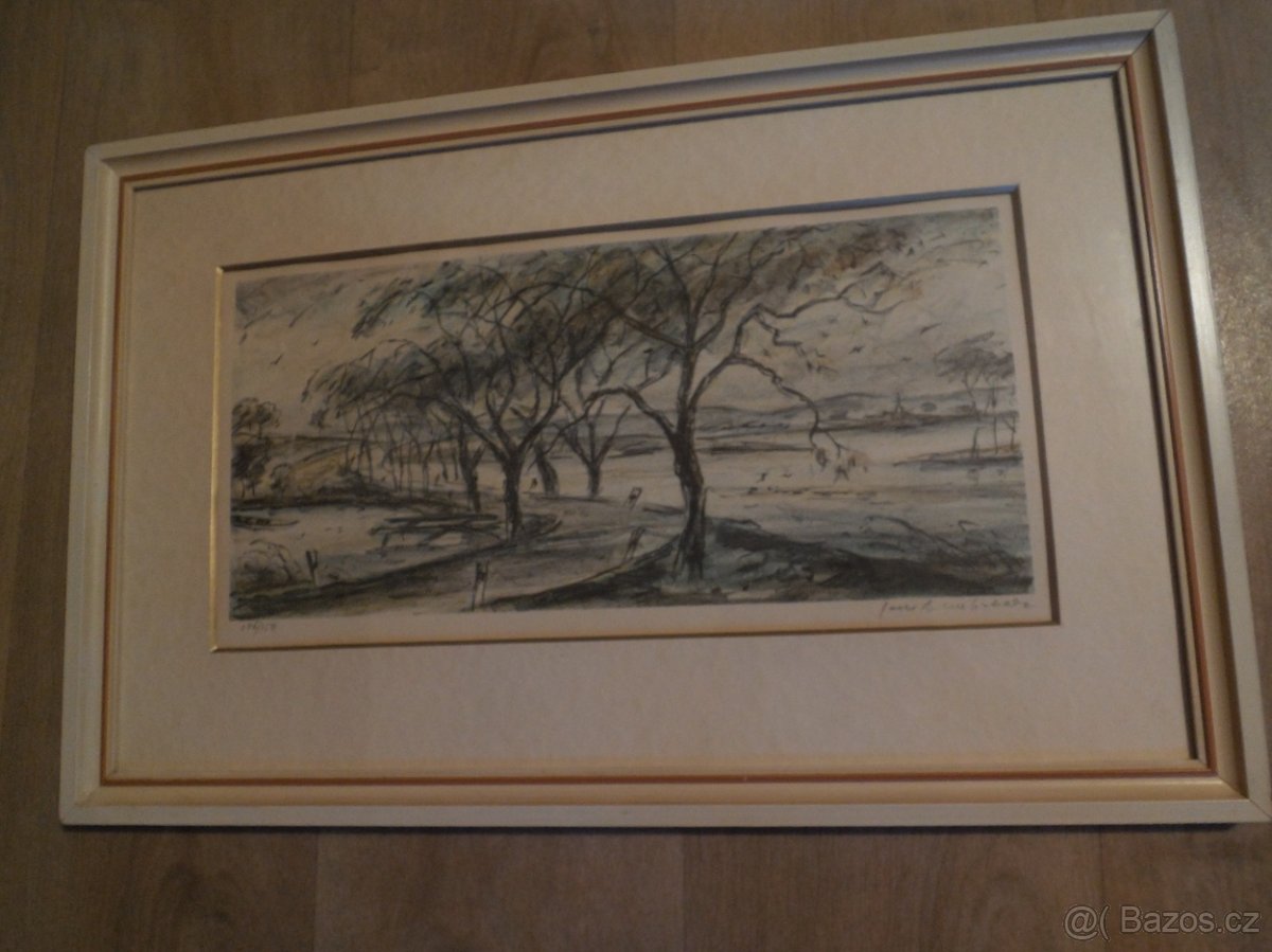 obraz -Litografie J.B. Melichar 1908 +1994