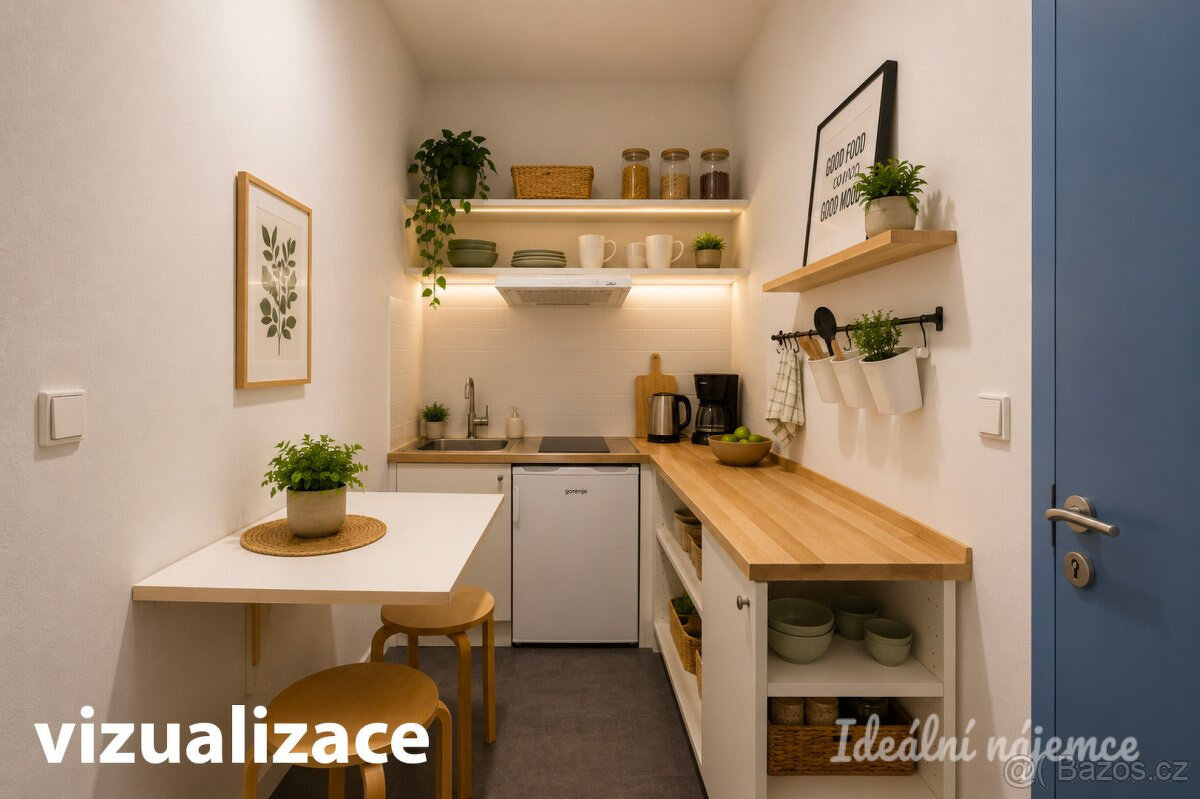 Prodej bytu 1+kk 26 m² Cejl, Brno - Zábrdovice