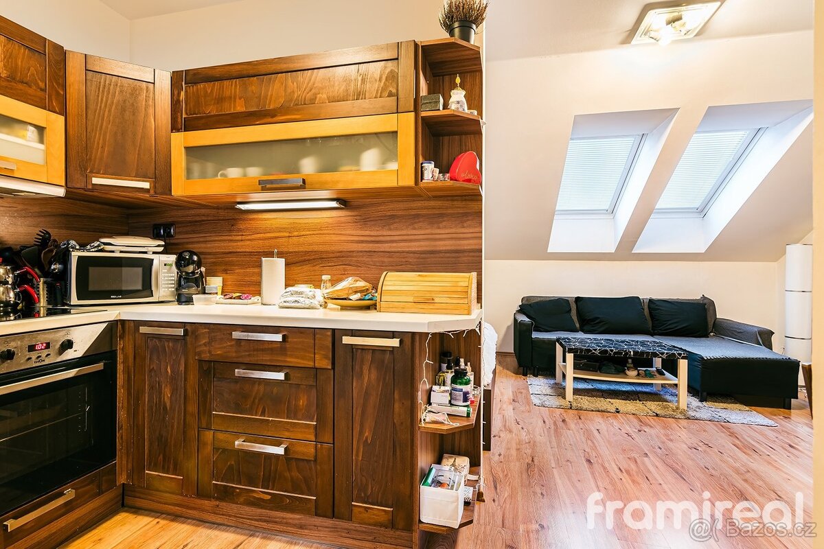 Pronájem bytu 1+kk, 38 m2 - Brno - Staré Brno, ev.č. 01755
