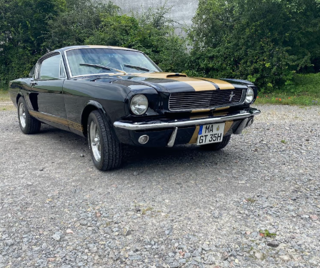 Ford Mustang Fastback GT350H Tribute