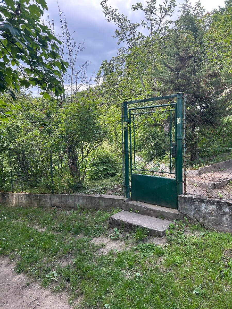 Přenechám pronájem zahrady na Praze 8