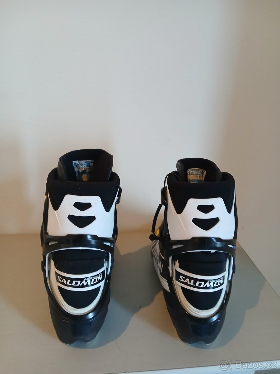 Skate lyže Fischer+ vázání a boty Salomon
