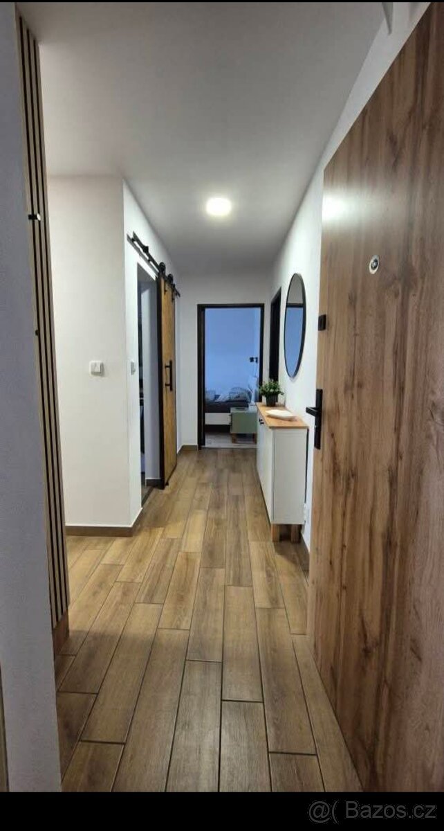 Pronájem bytu 3+1 v Břidličné