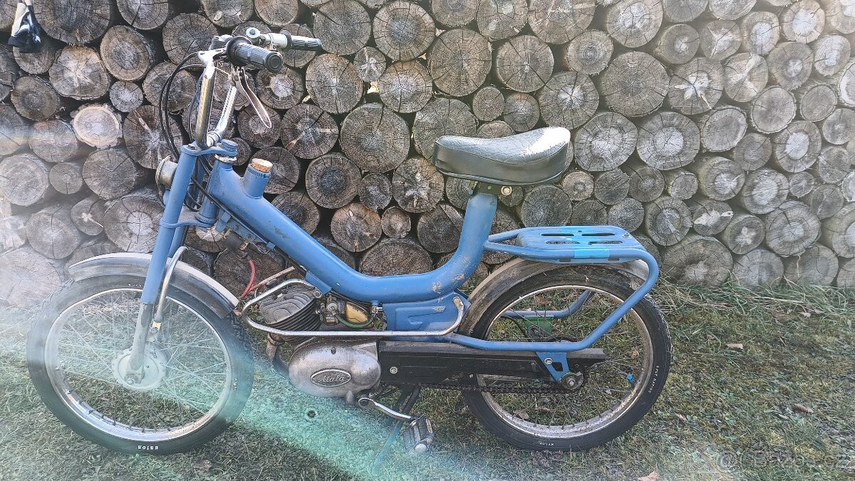 Atala Rizzato Babetta