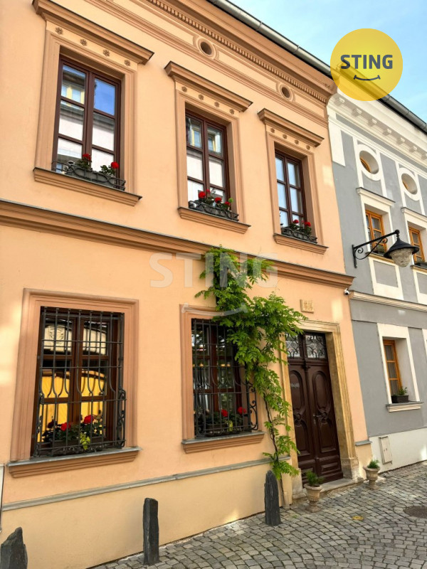 Prodej nadstandartního domu s 2 byty v centru města , 129808