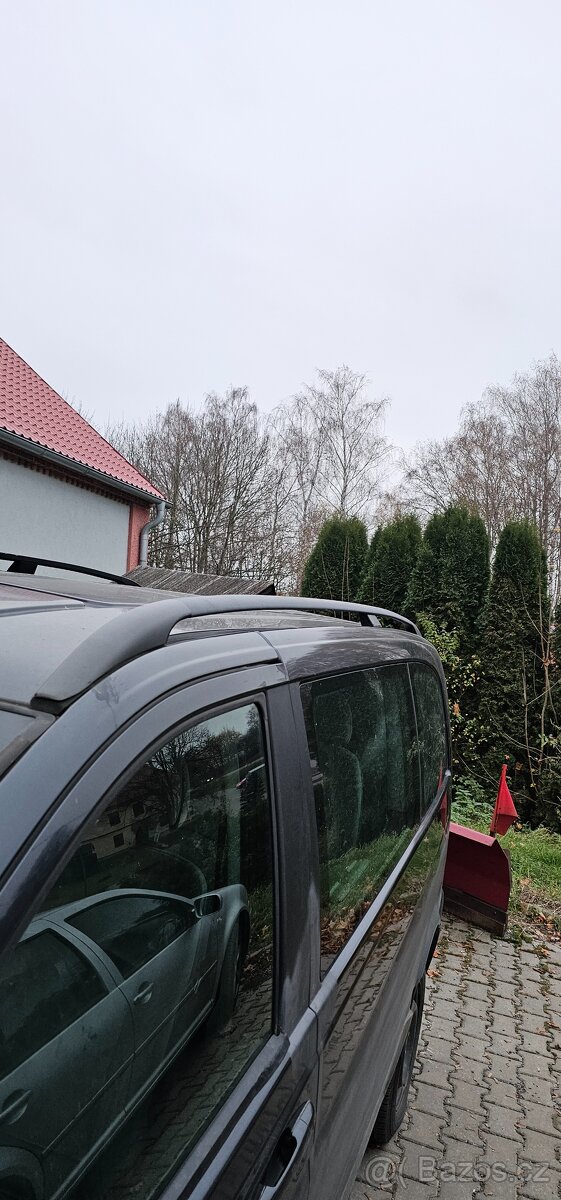 Mercedes-Benz Vito, Viano W639: hagusy