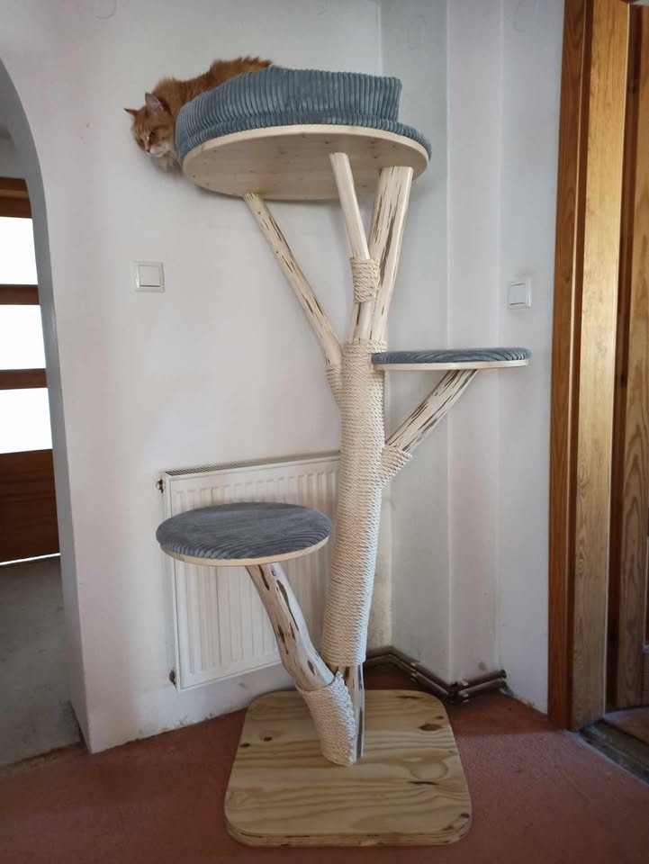 Kočičí strom / škrabadlo pro kočky / kočka