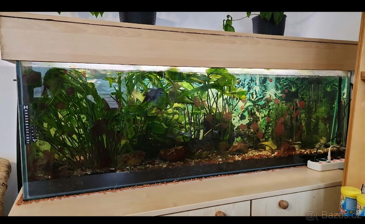 Prodám akvárium