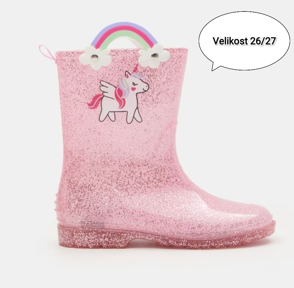 Holínky