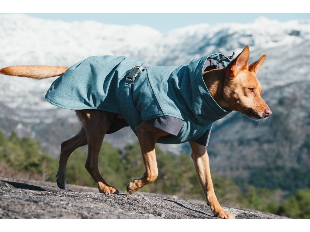 Zimní bunda pro psa