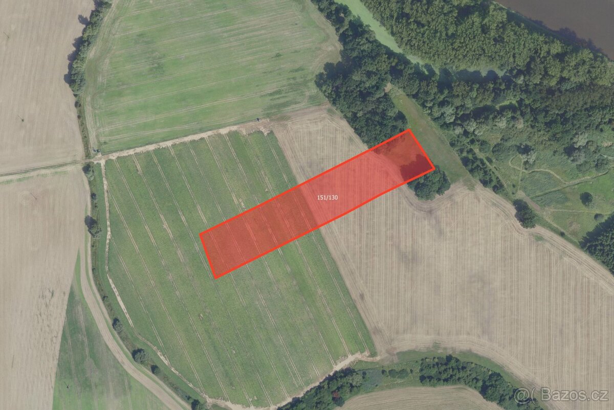 Zemědělská půda, prodej, Polabec, Poděbrady, Nymburk