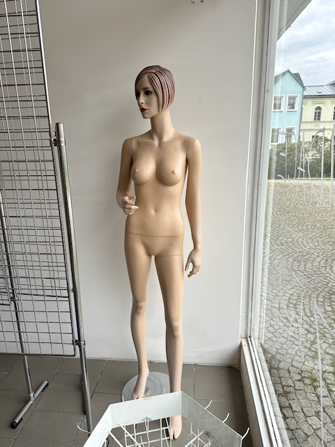Vybavení do obchodu